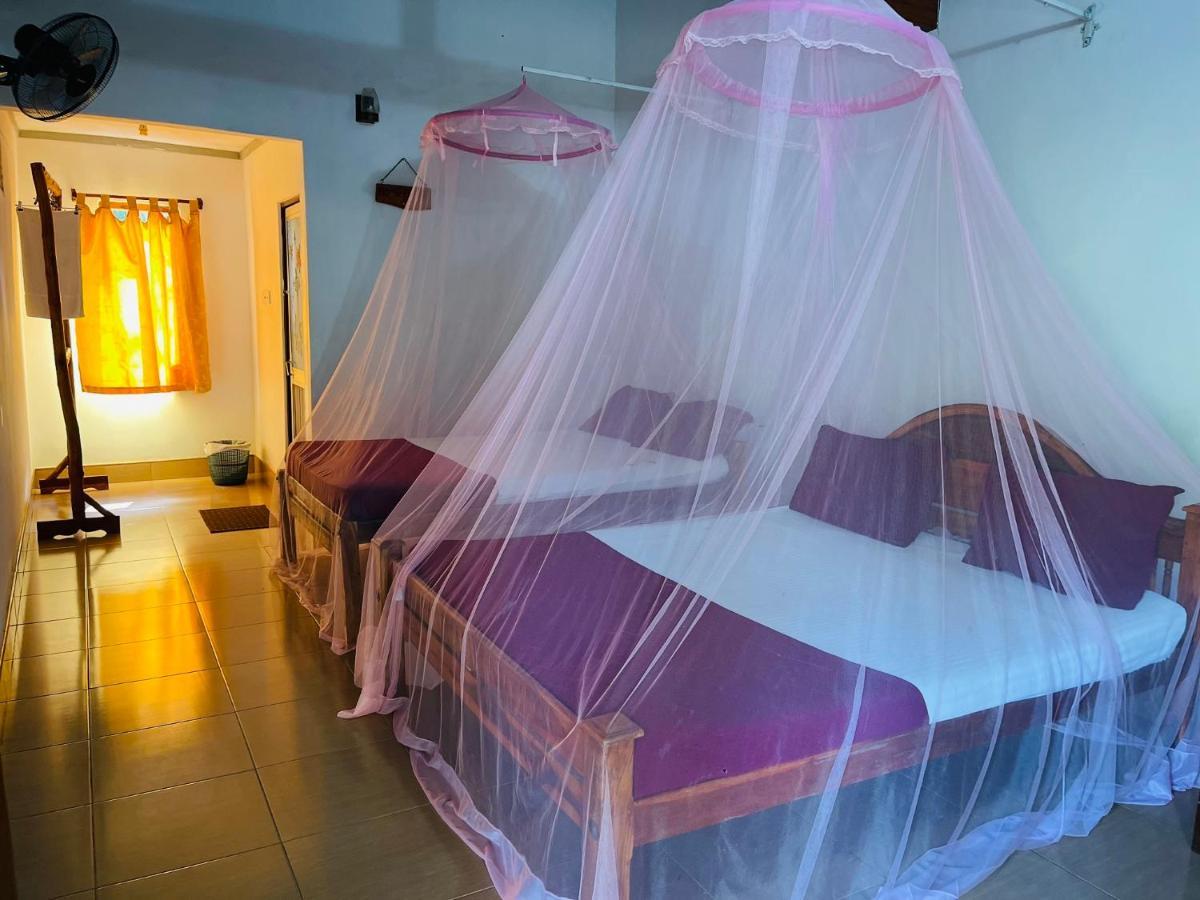 New Roy Guest House Kalkudah  Zewnętrze zdjęcie