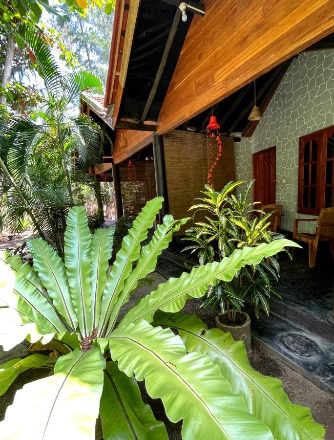 New Roy Guest House Kalkudah  Zewnętrze zdjęcie
