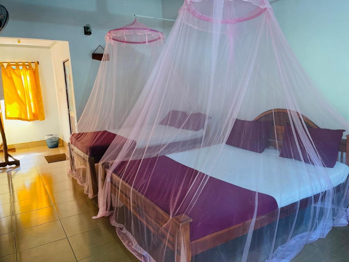 New Roy Guest House Kalkudah  Zewnętrze zdjęcie